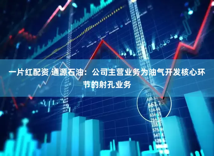 一片红配资 通源石油：公司主营业务为油气开发核心环节的射孔业务