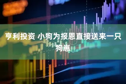 亨利投资 小狗为报恩直接送来一只狗崽