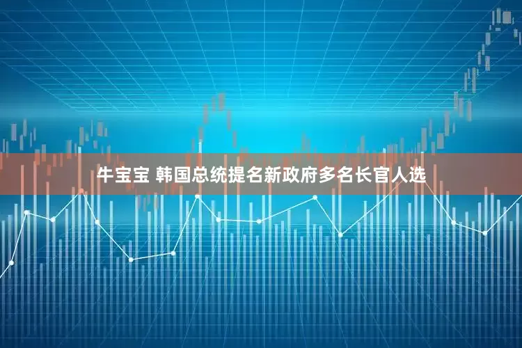 牛宝宝 韩国总统提名新政府多名长官人选