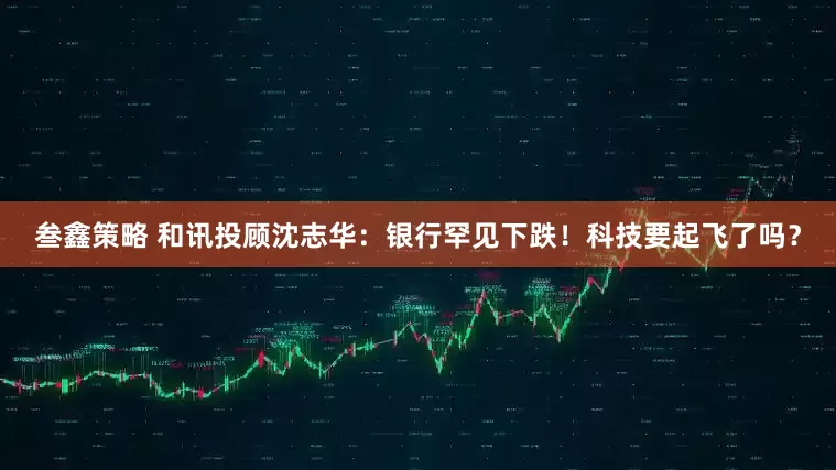 叁鑫策略 和讯投顾沈志华：银行罕见下跌！科技要起飞了吗？