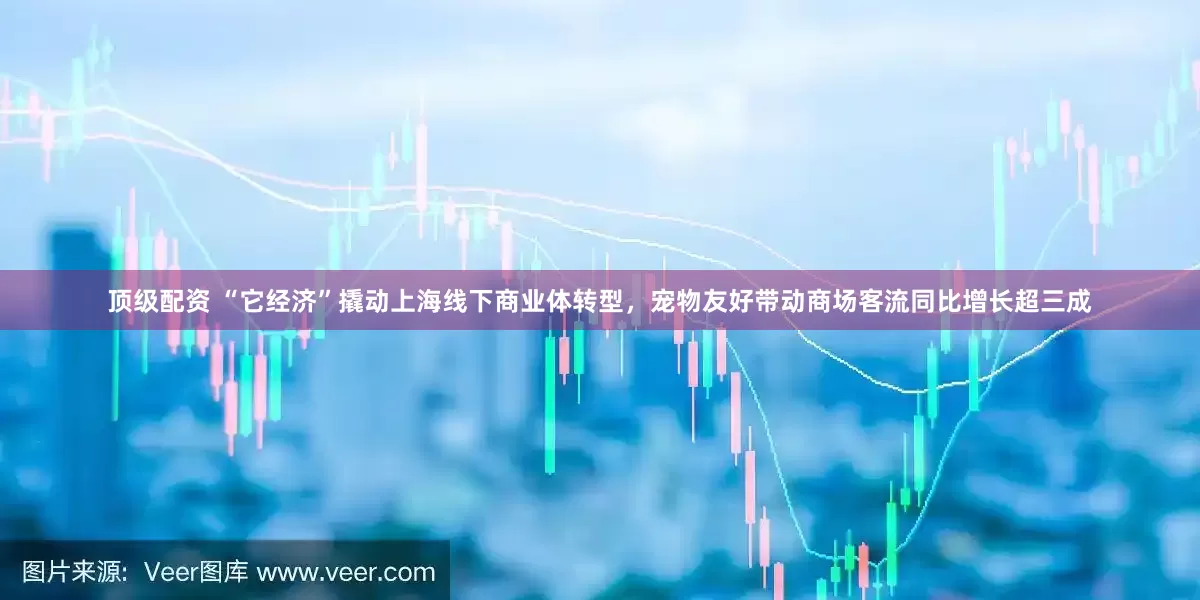 顶级配资 “它经济”撬动上海线下商业体转型，宠物友好带动商场客流同比增长超三成
