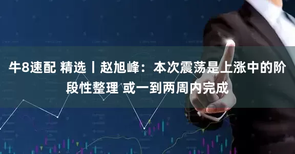 牛8速配 精选丨赵旭峰：本次震荡是上涨中的阶段性整理 或一到两周内完成