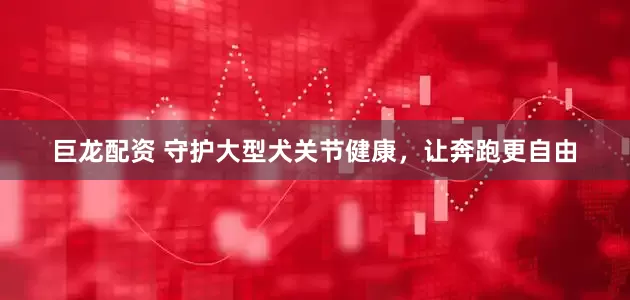 巨龙配资 守护大型犬关节健康，让奔跑更自由